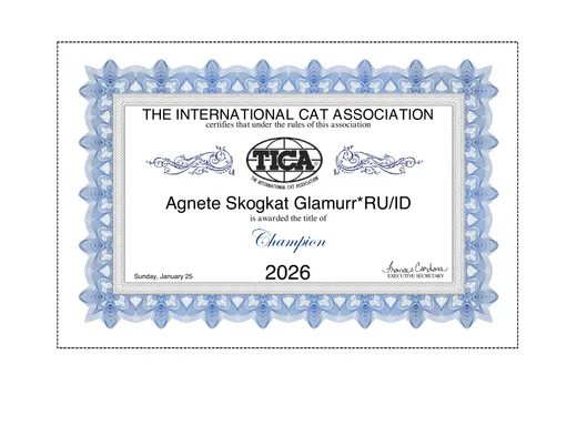 Freya champion title certificate preview